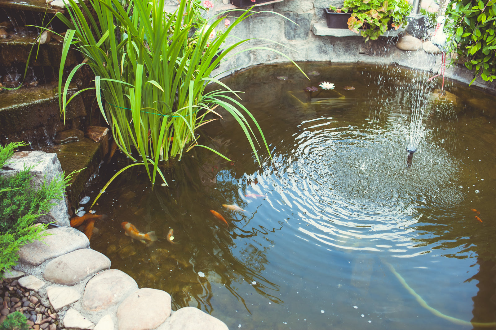 What are the benefits of pond fountains? Oase Outdoor