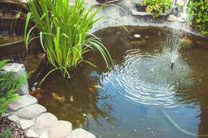 What are the benefits of pond fountains?